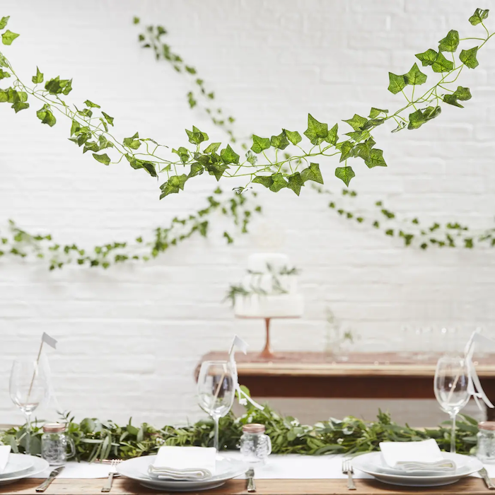 Efeu Blad Ranker 5x