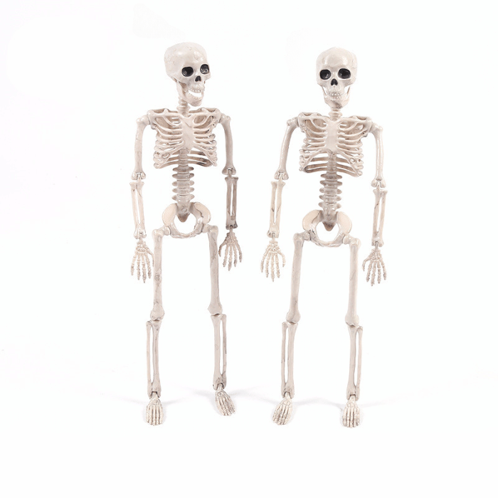 Halloween Skelet 90 cm - Spændende Halloween Dekoration
