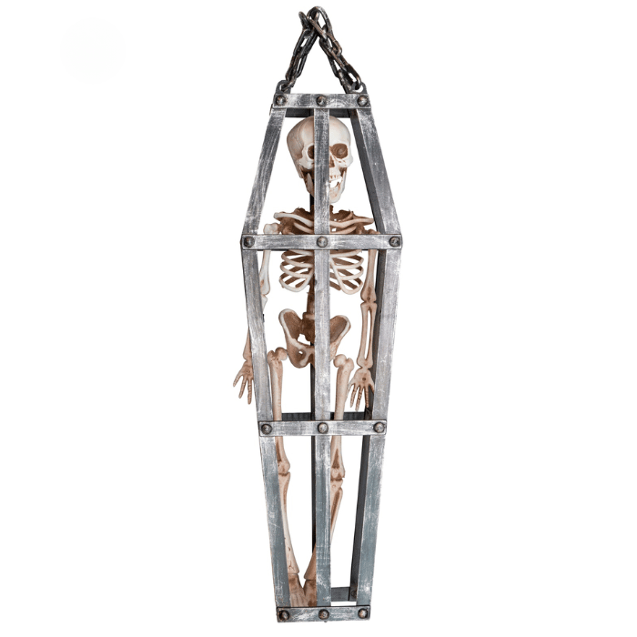 Skelet   Bur 50