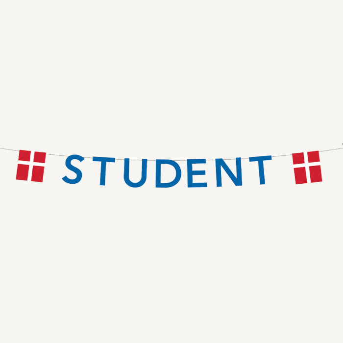 Blå Student Guirlande Med Flag   27x4