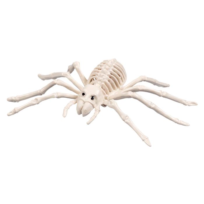 Edderkop Skelet Dekoration 23x14 cm til Halloween Fest