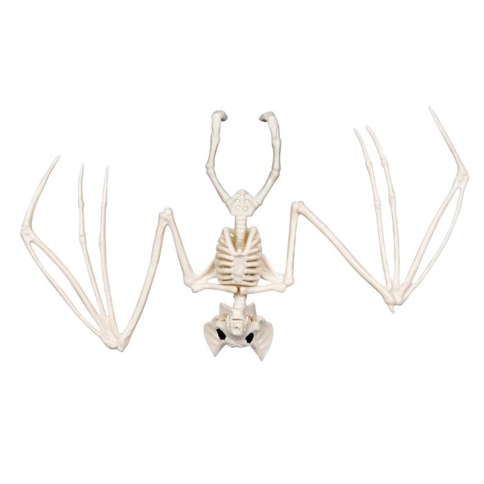 Flagermus Skelet Dekoration - Halloween Tilbud!