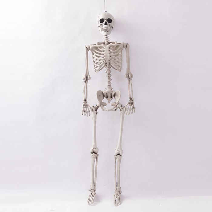 Hængende Skelet Dekoration til Halloween - 90 cm