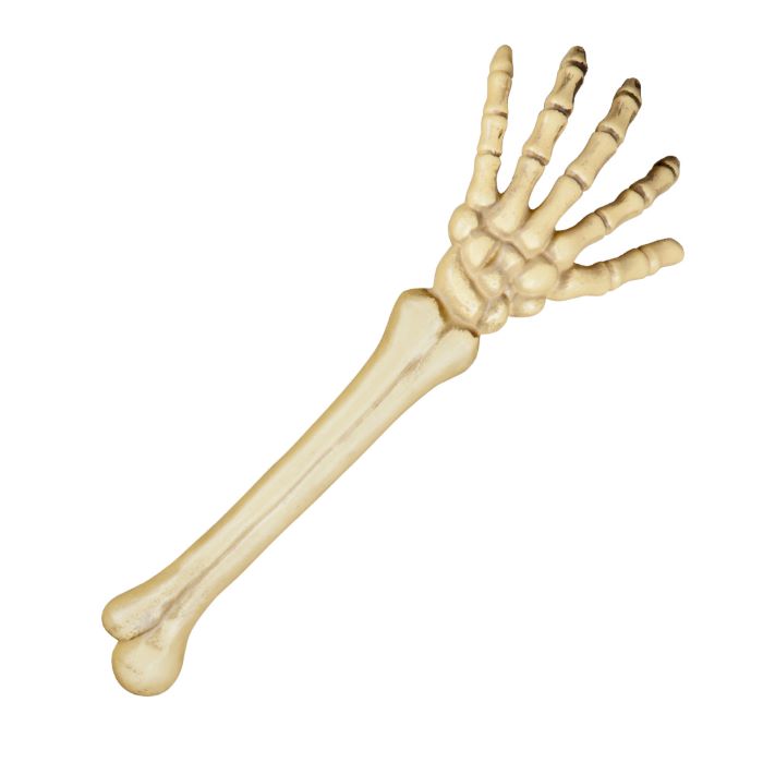 Halloween Skelet Arm 46 cm til din fest!