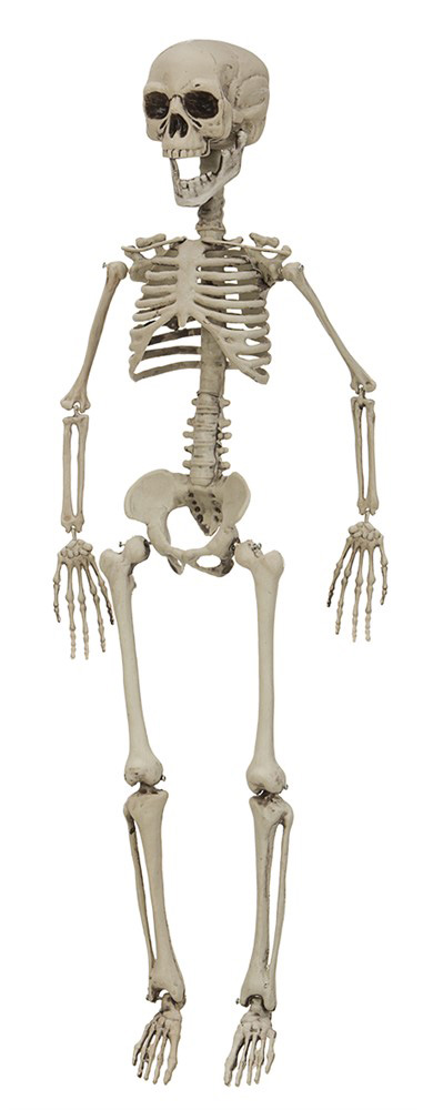 Skræmmende 76 cm Halloween Skelet til Uhyggelig Fest