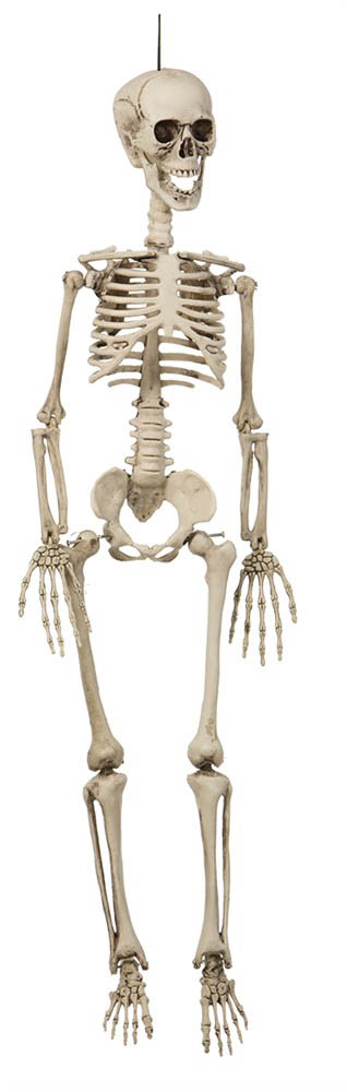 Skræmmende 90 cm Halloween Skelet til Uhyggelig Dekoration