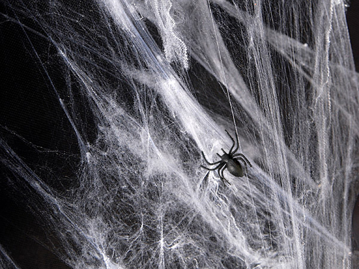 Hvidt Halloween Spindelvæv med Edderkopper til Dekoration