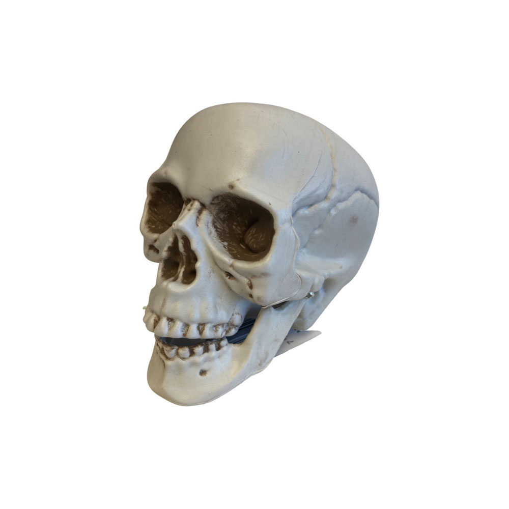 Mini Halloween Kranie med Bevægelse – Uhyggelig Dekoration
