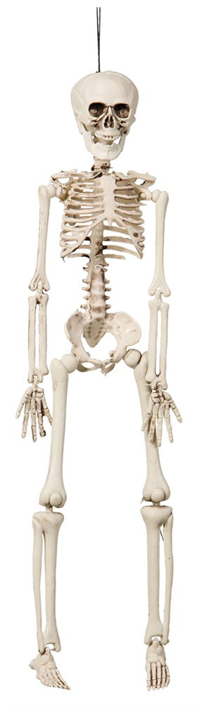 Mini Halloween Skelet - Uhyggelig Dekoration til Fest 42 cm