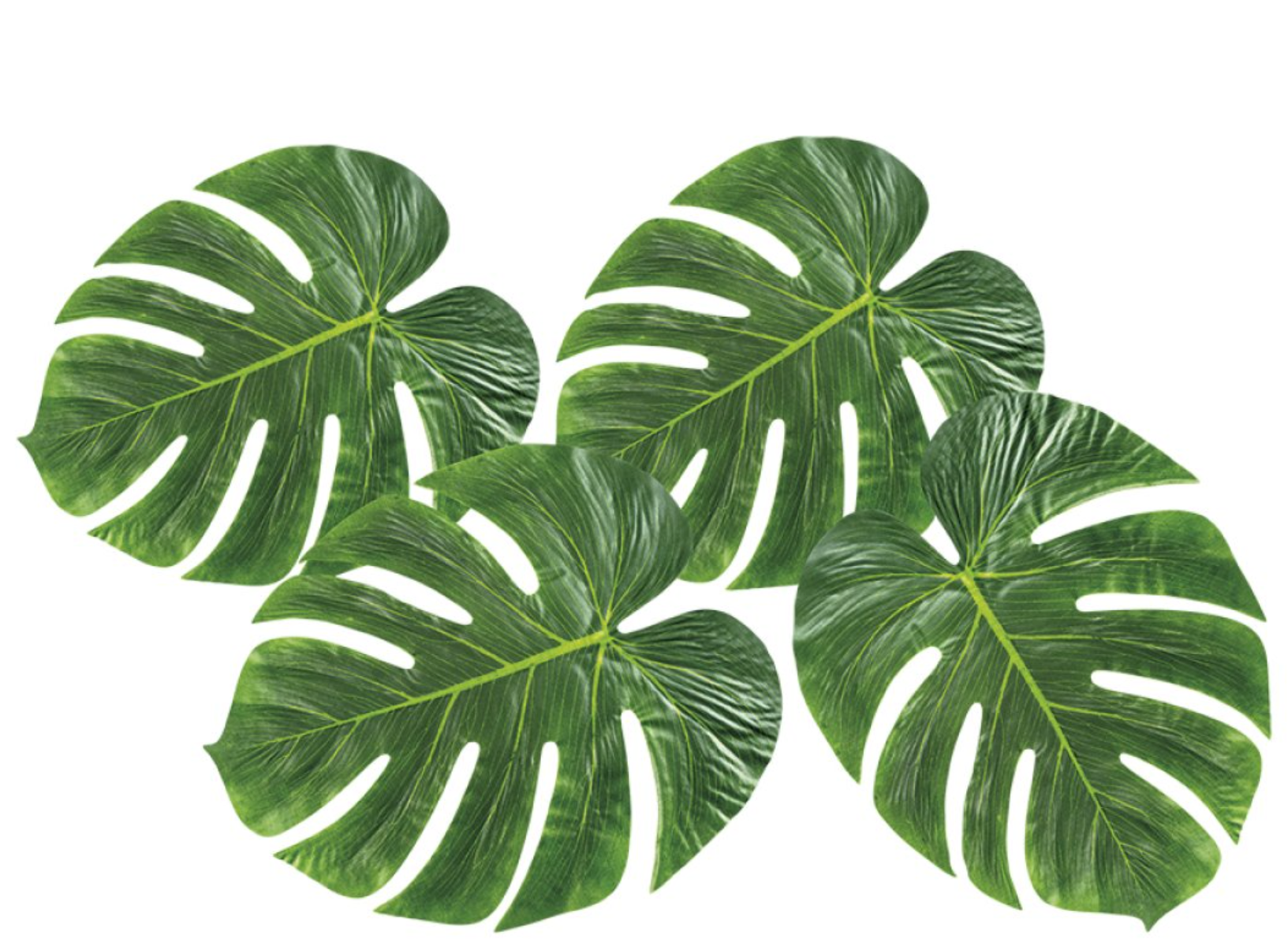 Monstera Dekorationsblade – Fantastisk tilbud, 4 stk.