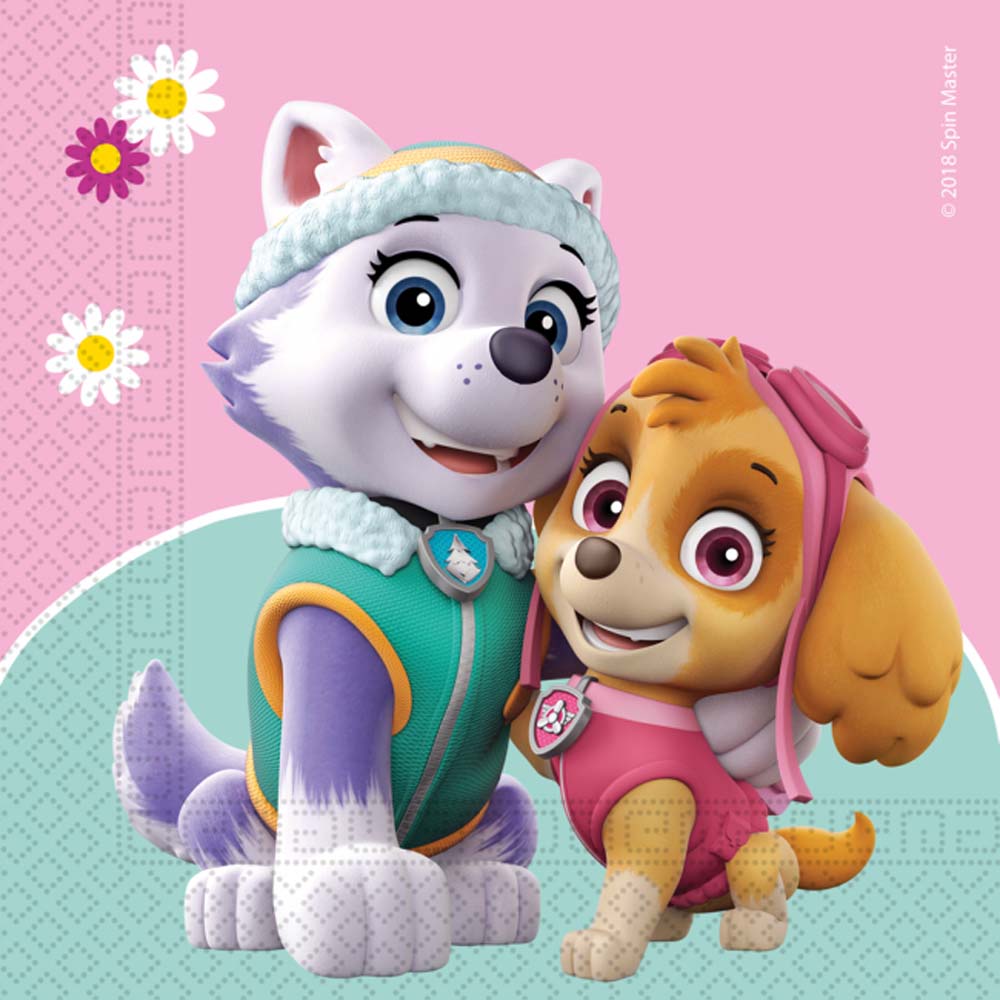 Paw Patrol Servietter 20 Stk – Skye & Everest Tilbud!