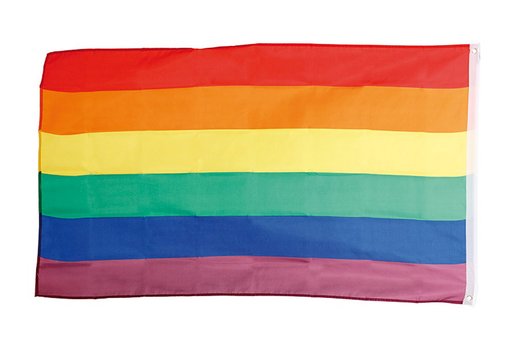 Pride Flag 90 x 60 cm – Støt Mangfoldighed og Kærlighed