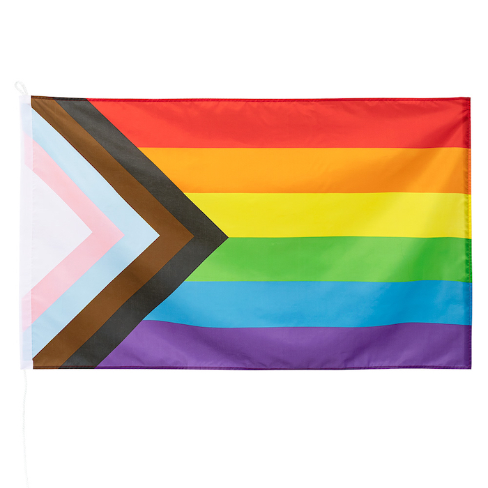 Progress Pride Flag 90x150