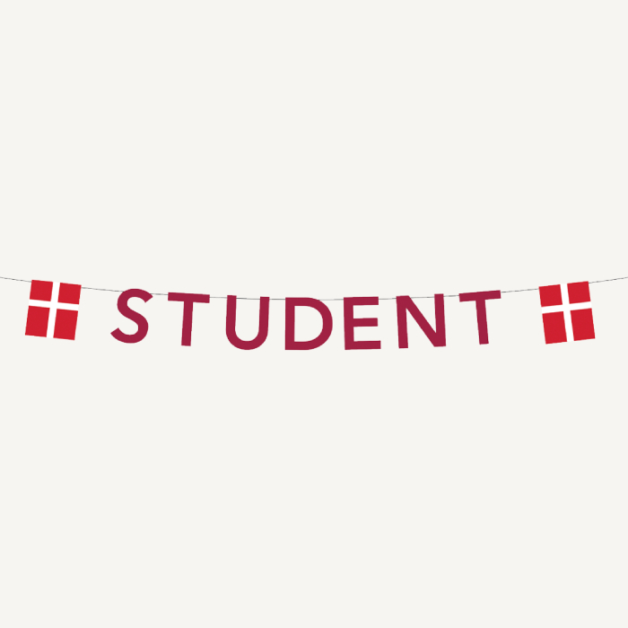 Rød Student Guirlande Med Flag   27x4