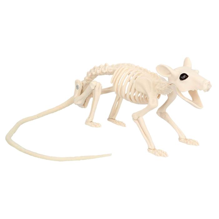 Rotte Skelet Dekoration – Uhyggelig Halloween Udsmykning