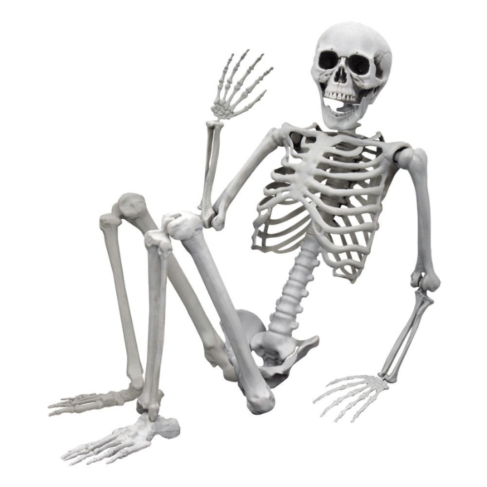 Naturligt Skelet - Ideelt til Halloween Dekoration