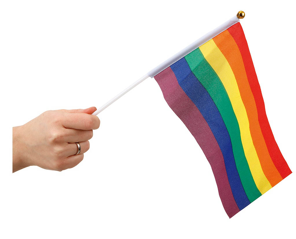 Små Pride Vifteflag til Fejring af Mangfoldighed
