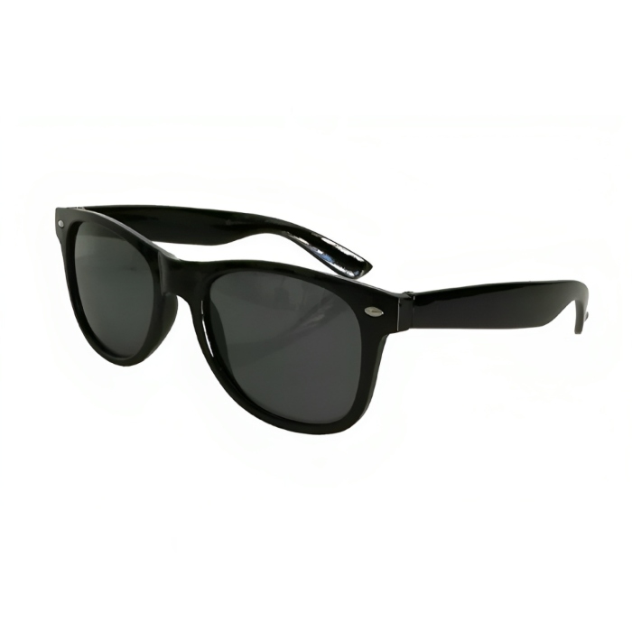 Sort Wayfarer Solbriller – Fantastisk Tilbud!