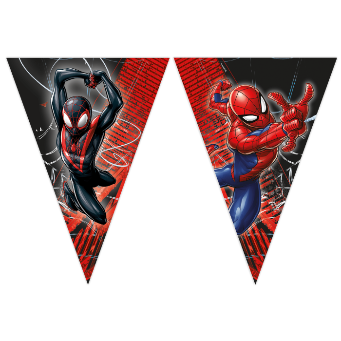 Spiderman World   Web Flagranke     Meter