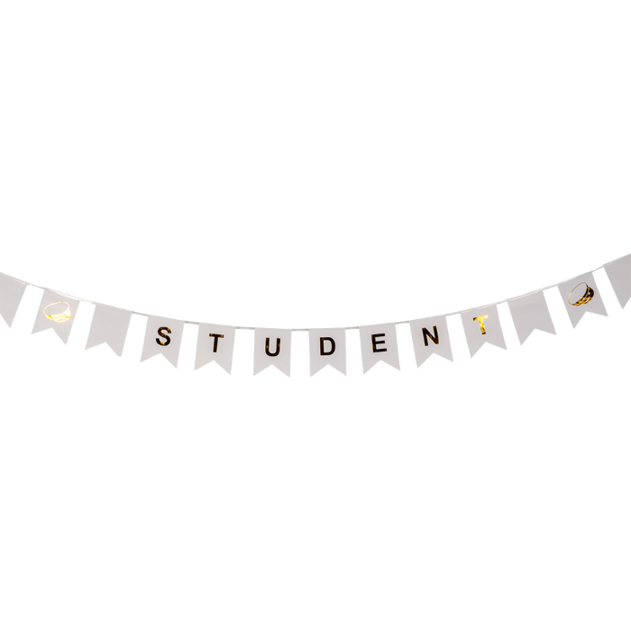 Studenterbanner Guirlande med Flag – Festlig Dekoration